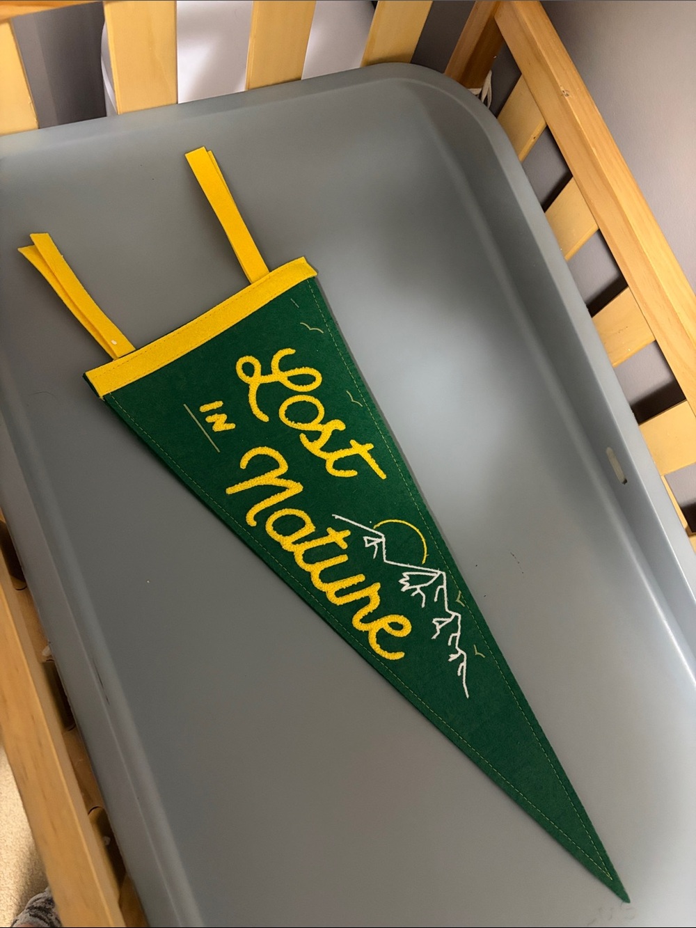Lost in Nature Green Felt Pennant Banner